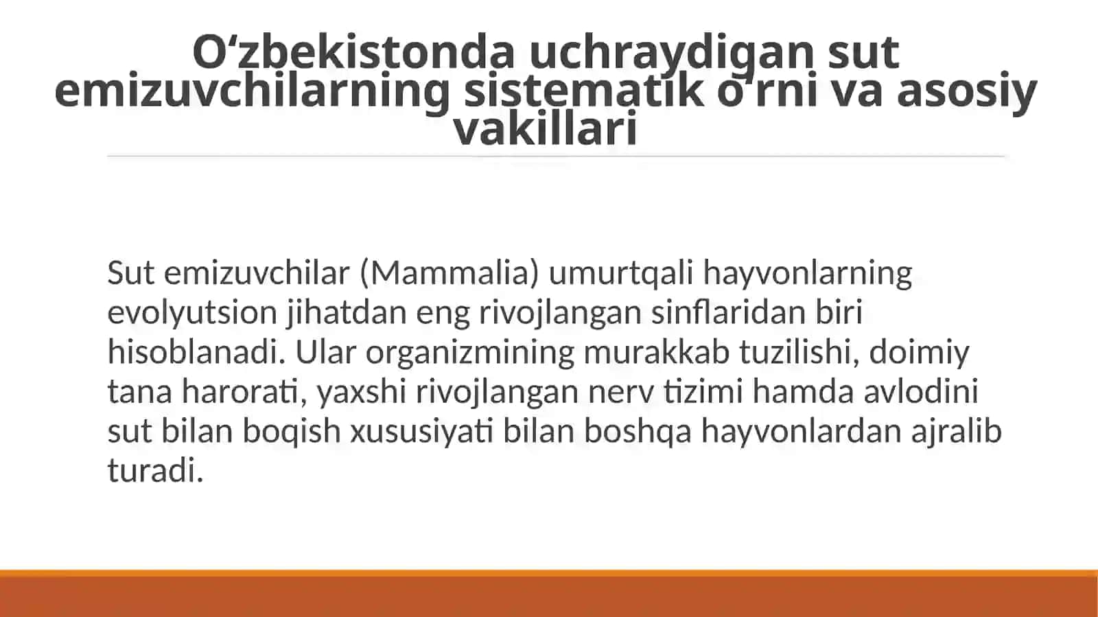 Oʻzbekistonda uchraydigan sutemizuvchilar ,ovlanadigan vakillari, kasallik tarqatuvchi va noyob turlari 4
