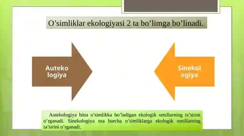 O'simliklarning inson hayotida tutgan o'rni eva biosfradagi ahamiyati. 4