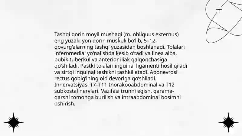 Qorinning yon mushaklari 4