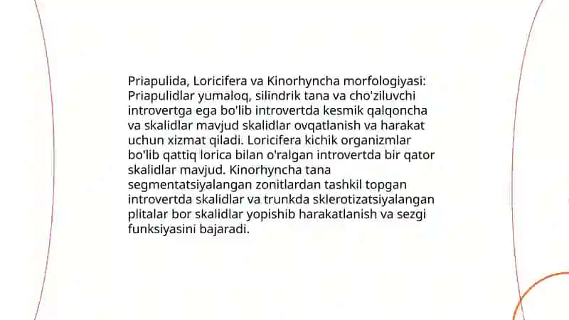Priapulida Loricifera va Kinorhyncha 4