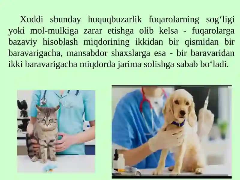Veterinariya sohasidagi qonun buzilishlari 4