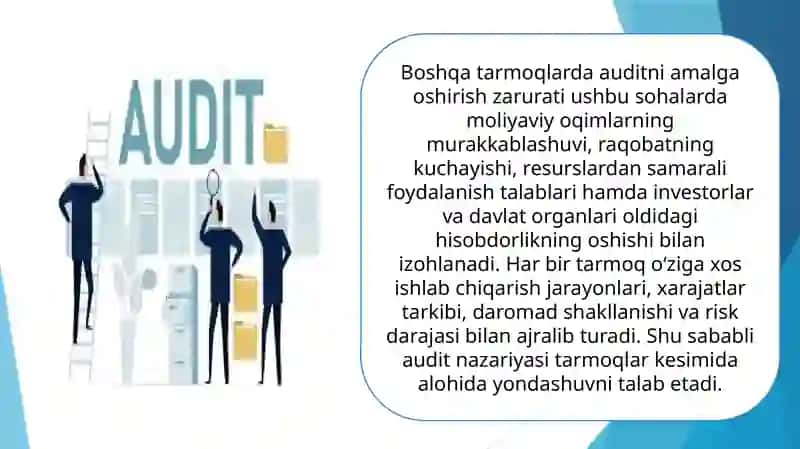 Boshqa tarmoqlarda audit 4