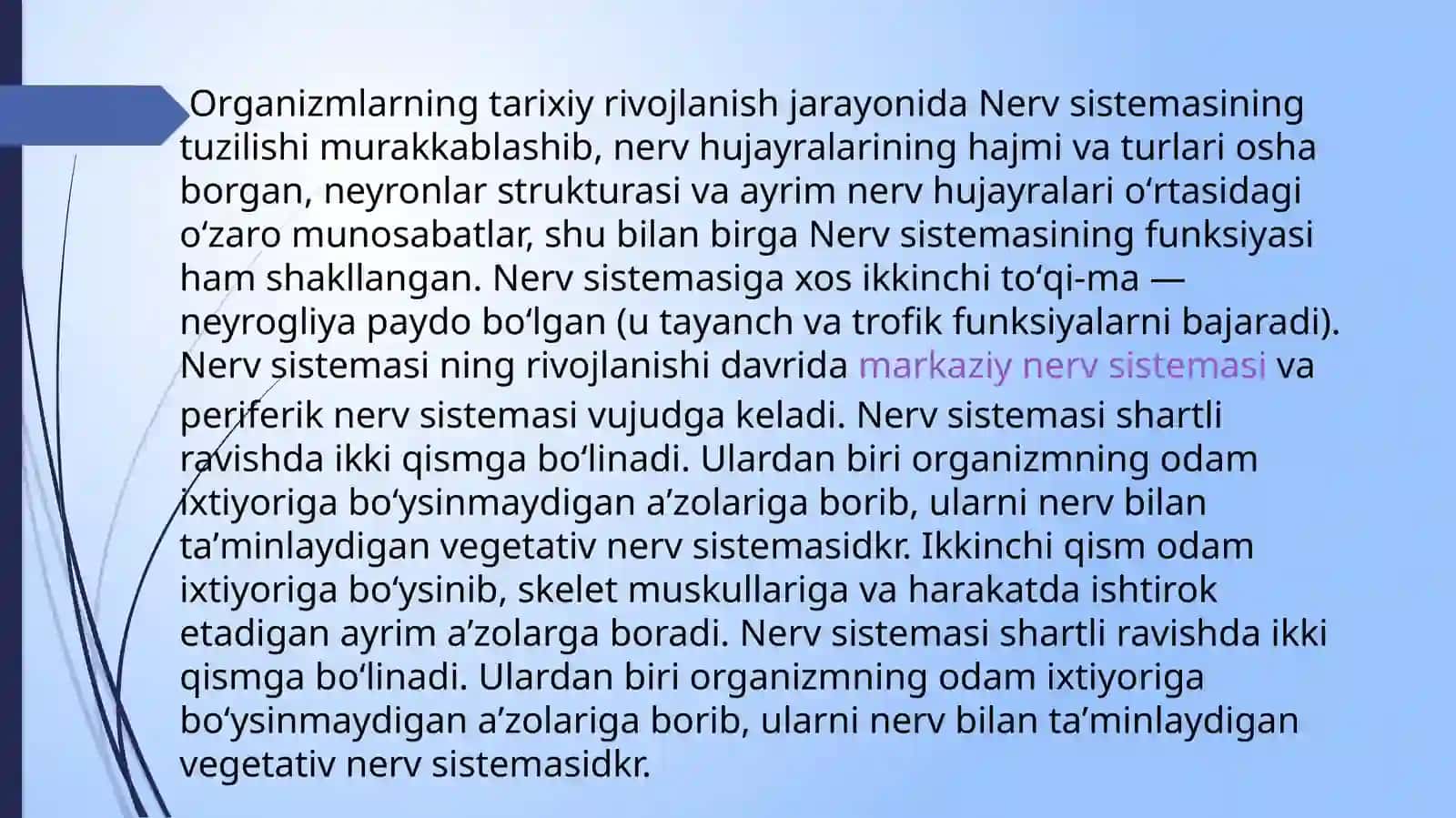 Nervsistemasi 4