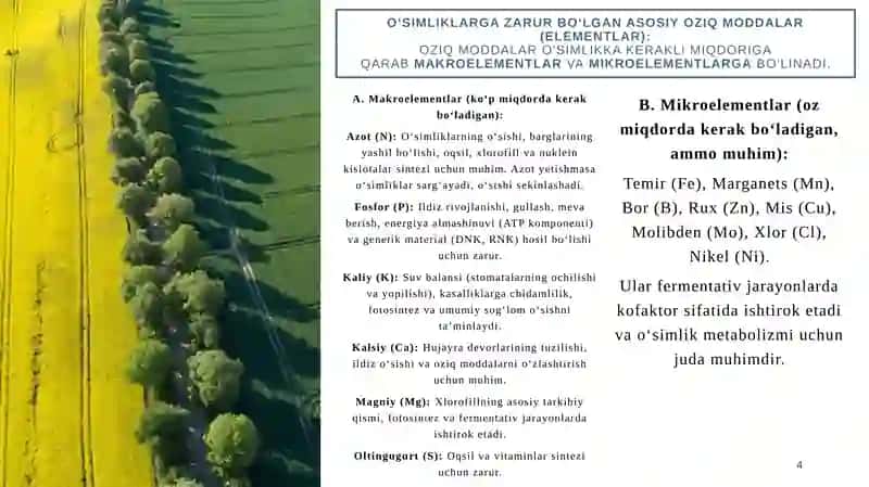 Oʻsimliklarning tuproqdan oziqlanishi 4