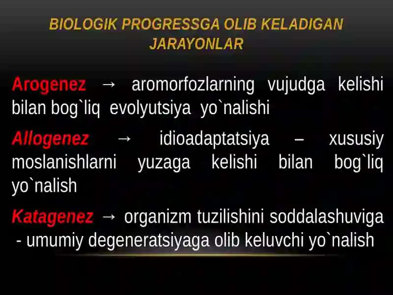 Organik olam filogenezining umumiy tavsifi 4