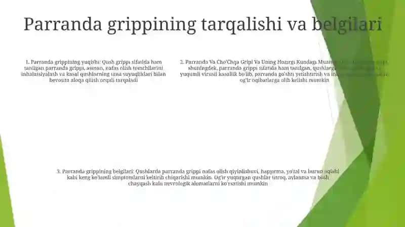 Parranda Va ChoʻChqa Gripi Va Uning Hozirgi Kundagi Muammolari 4