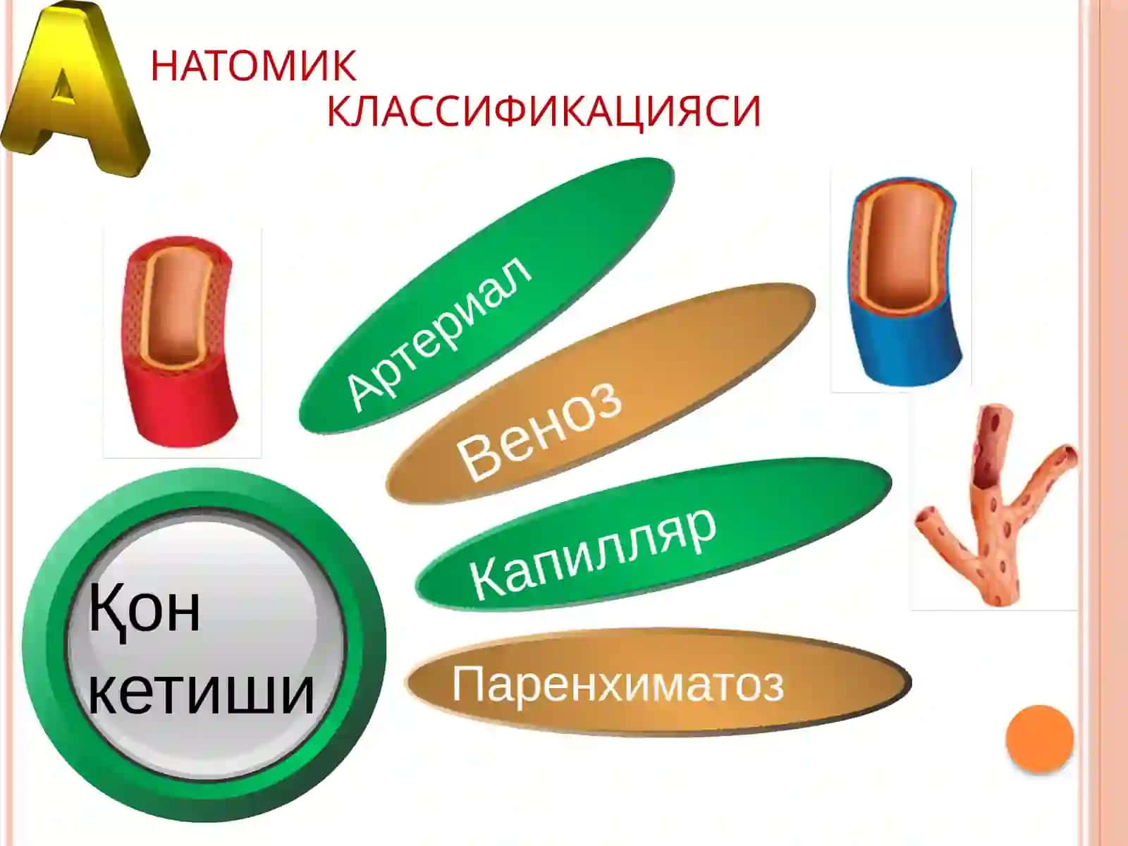 Қон кетиш.Қон кетишни тЎхтатиш усуллари 4
