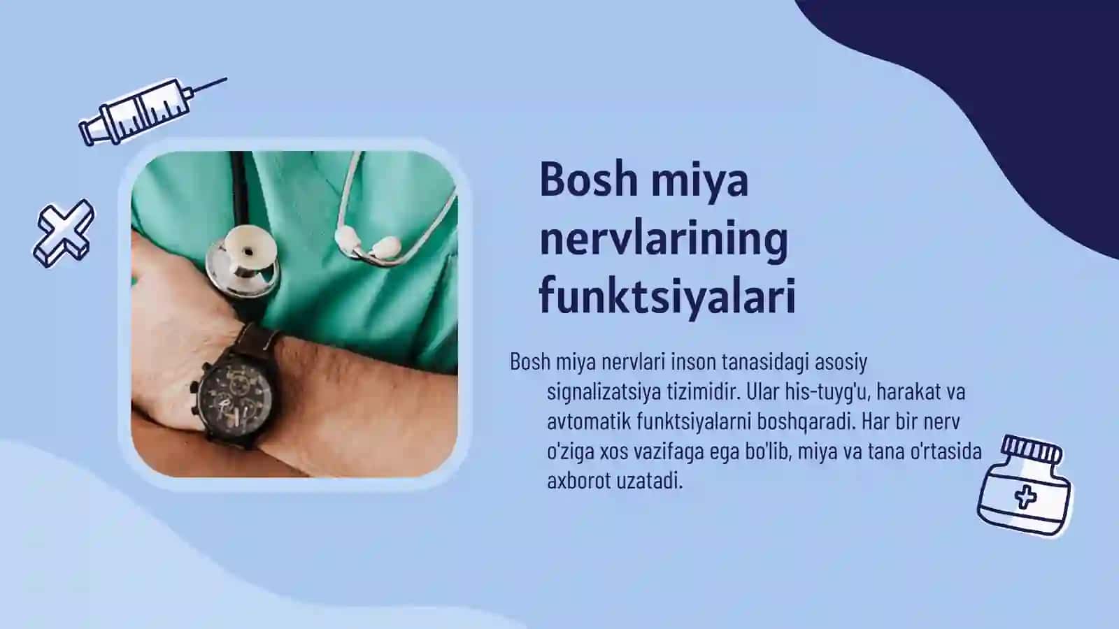 Bosh miya nervlari va ularning nomlari 4