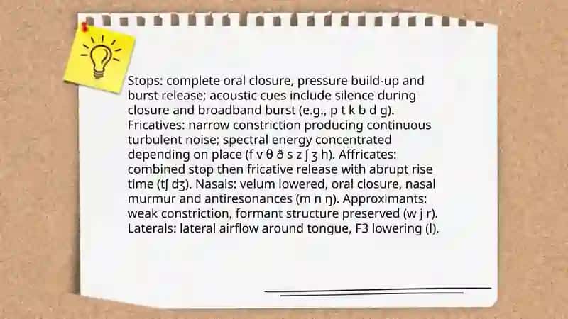 Articulatory and Acoustic properties of the English consonants 4