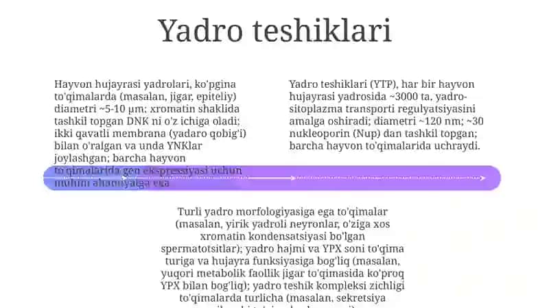 Hujayra yadrosi va hayvon toʻqimalari 4