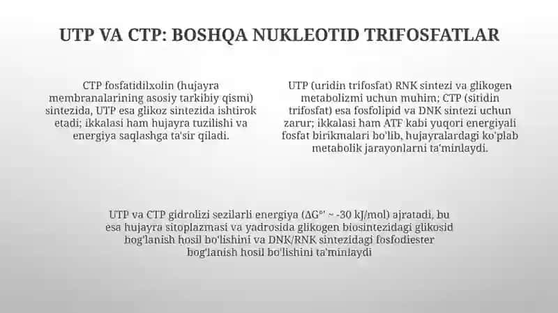 Makroergik birikmalar va ularning moddalar almashinuvidagi oʼrni 4