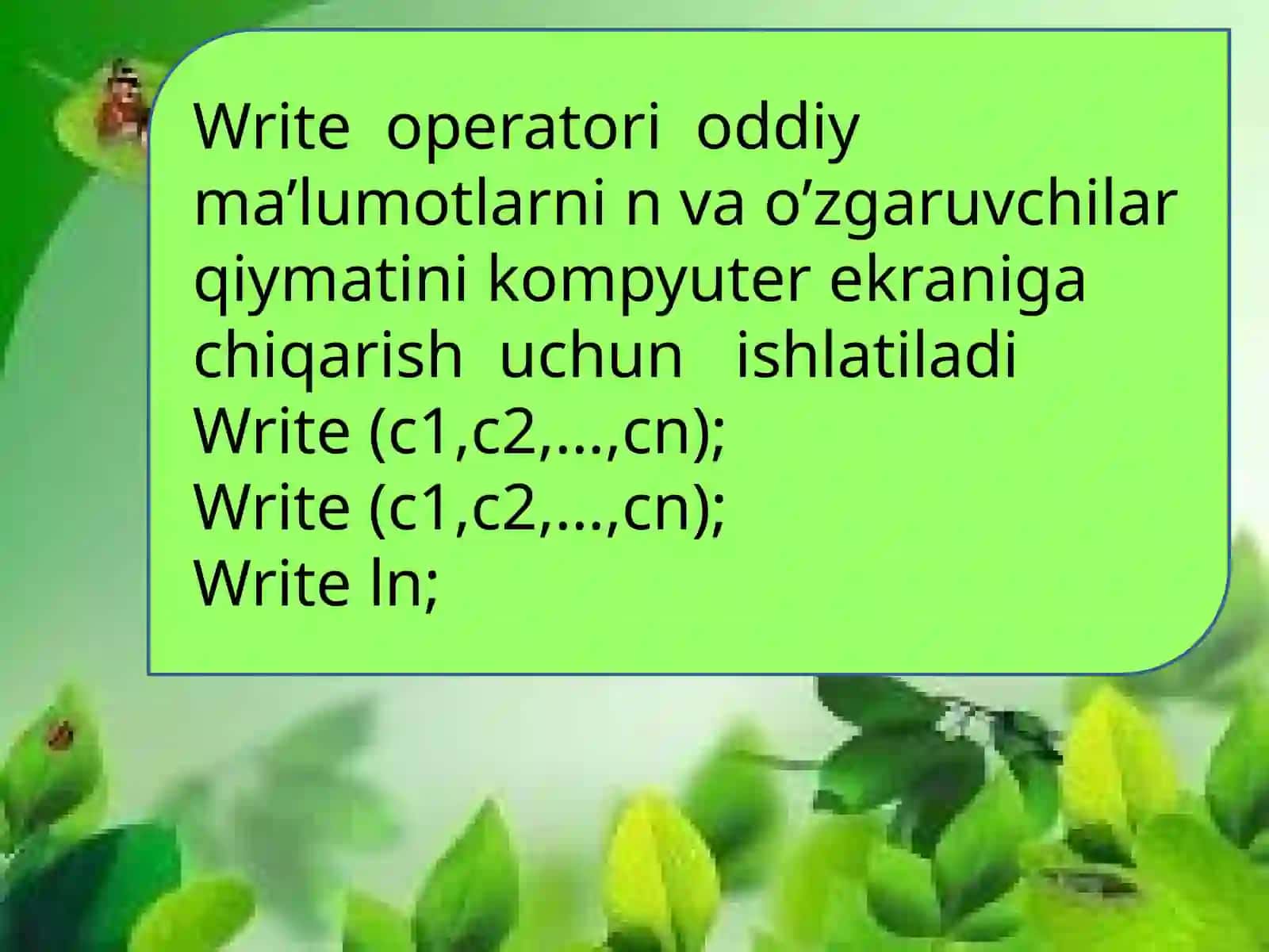 Delphidasturlashtiliningoperatorlari 4