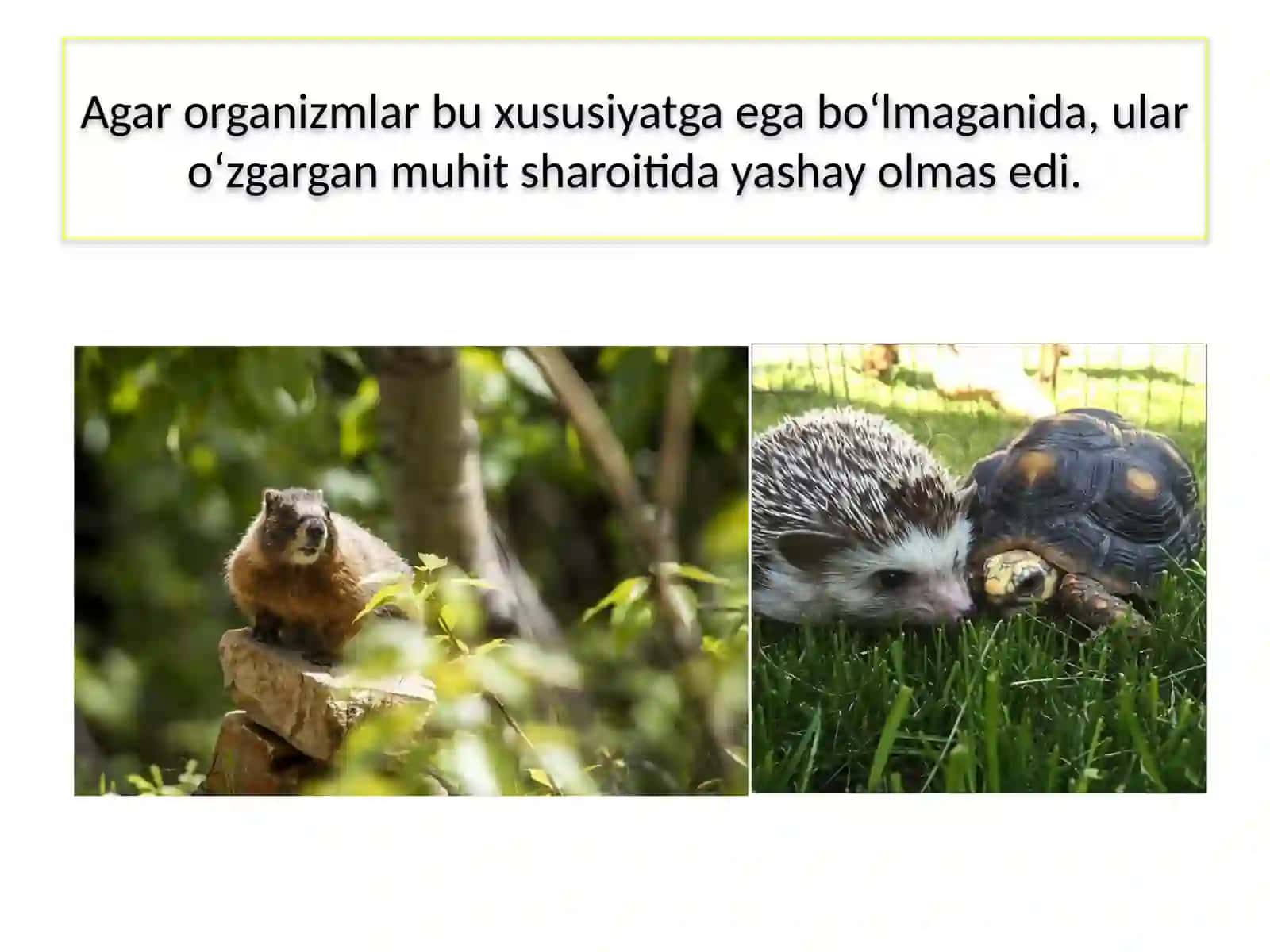 MAVZU.TIRIK ORGANIZMLARNING TA’SIRLANISHI 4