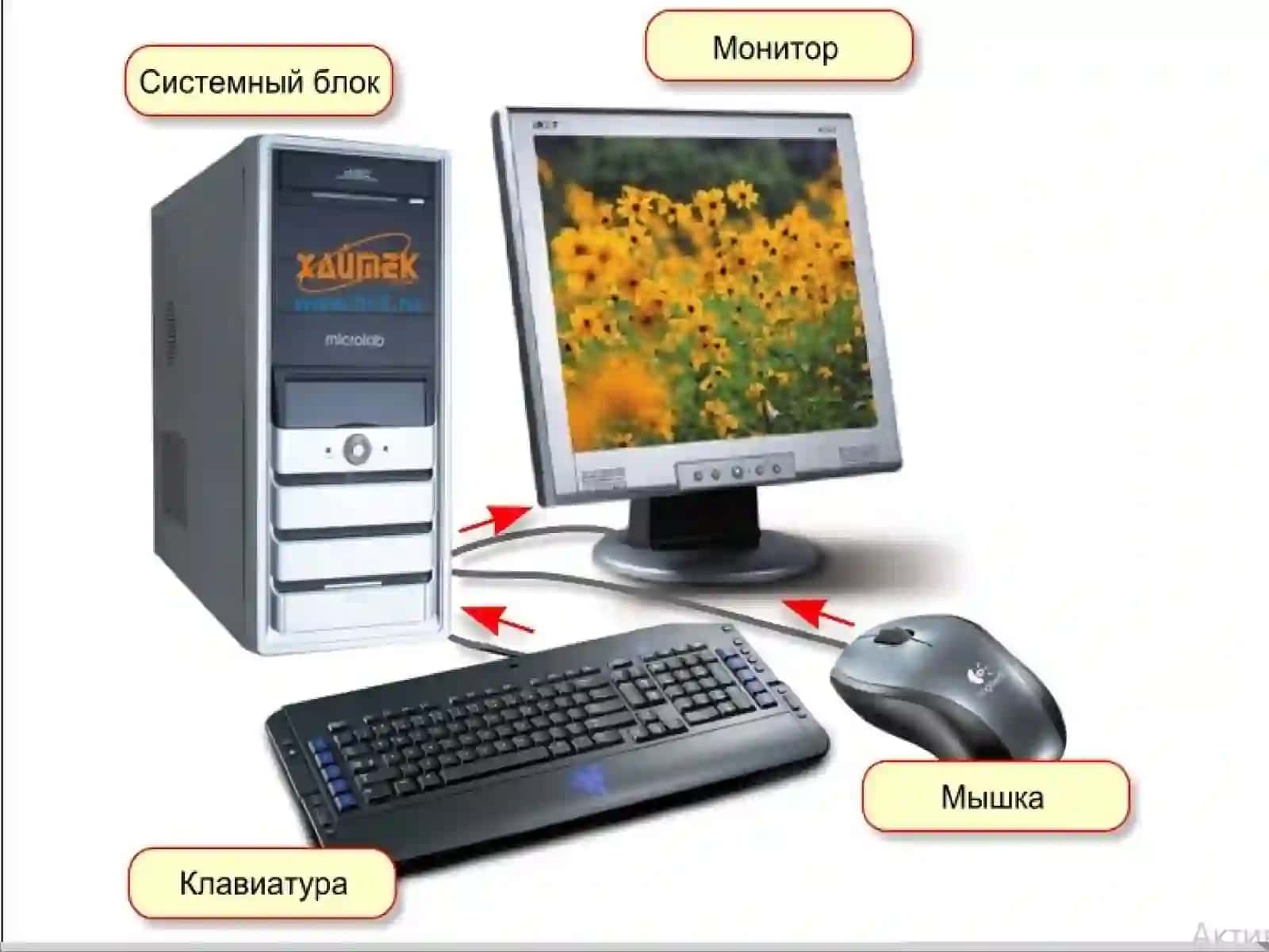 Современные технические средства информационных технологий 4