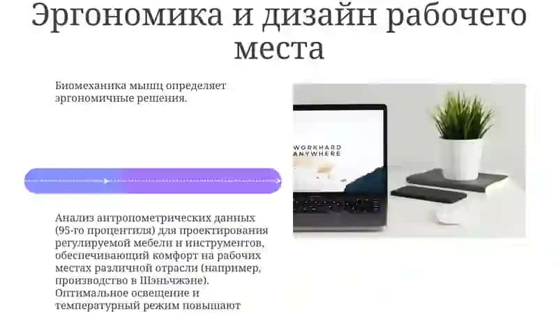 Работа и биомеханика мышц 4