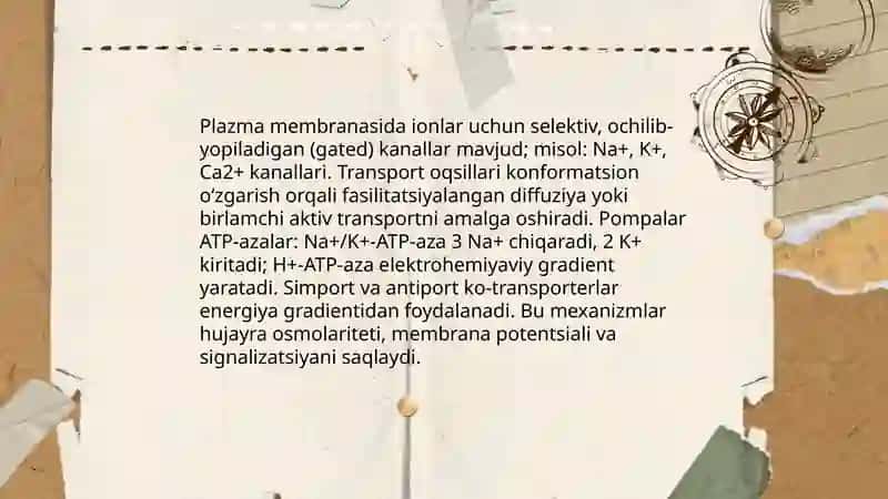 Evkariot hujayralarninig ultra strukturaviy tuzilishi 4