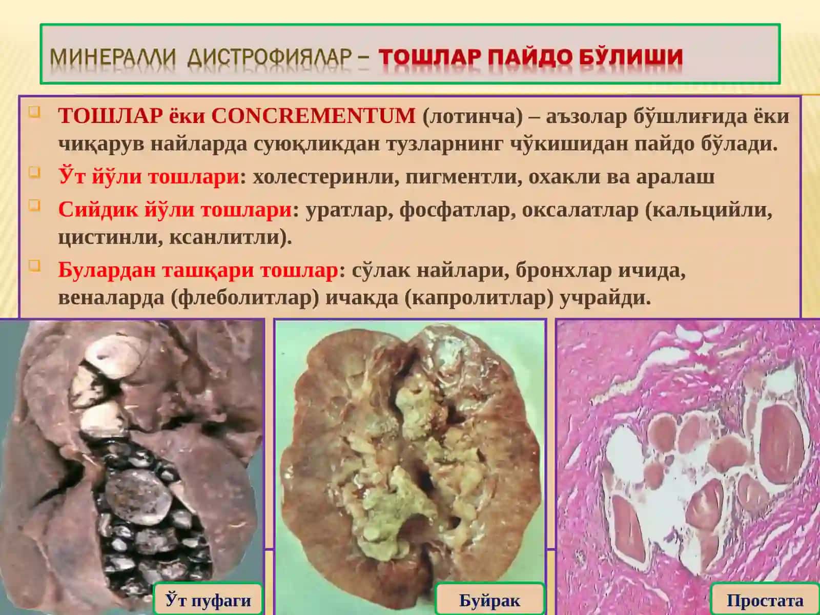 ПАТОЛОГИК АНАТОМИЯ 4