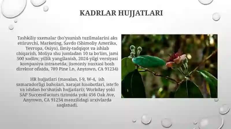 Tashkiliy hujjatlar haqida tushuncha va ularga oid hujjatlar 4