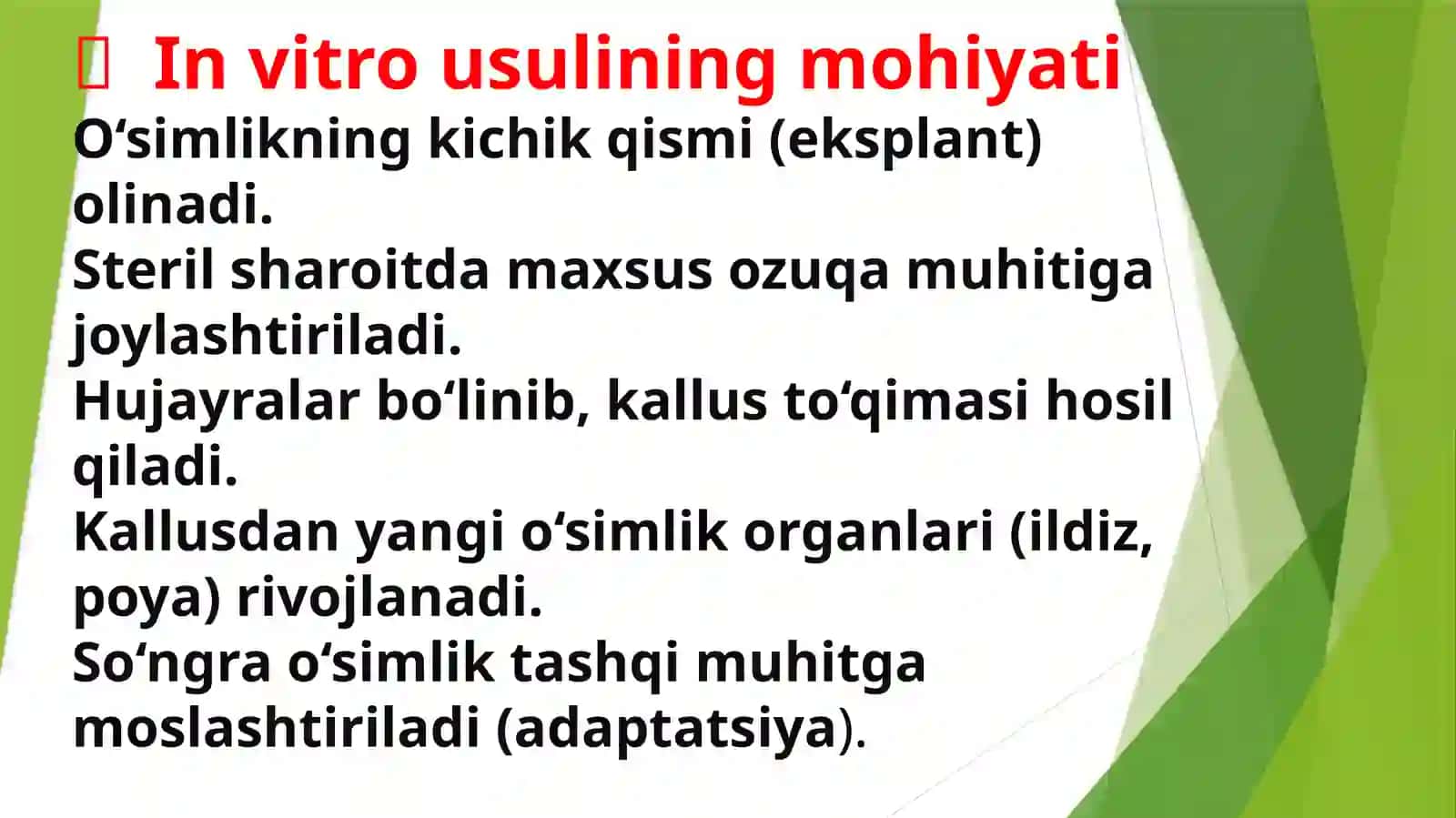 O'simlik hujayralarini in vitroyetishtirish va Biotexnologik texnologiyasi 4