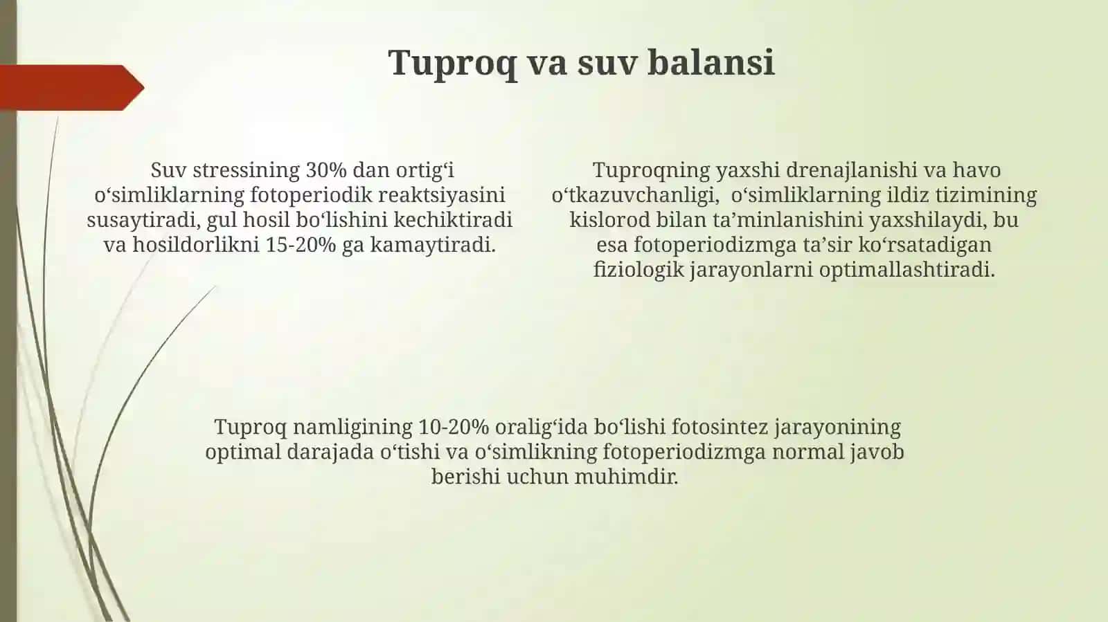 Fotoperiodizm, yorug'likning o'simliklar uchun ahamyati 4