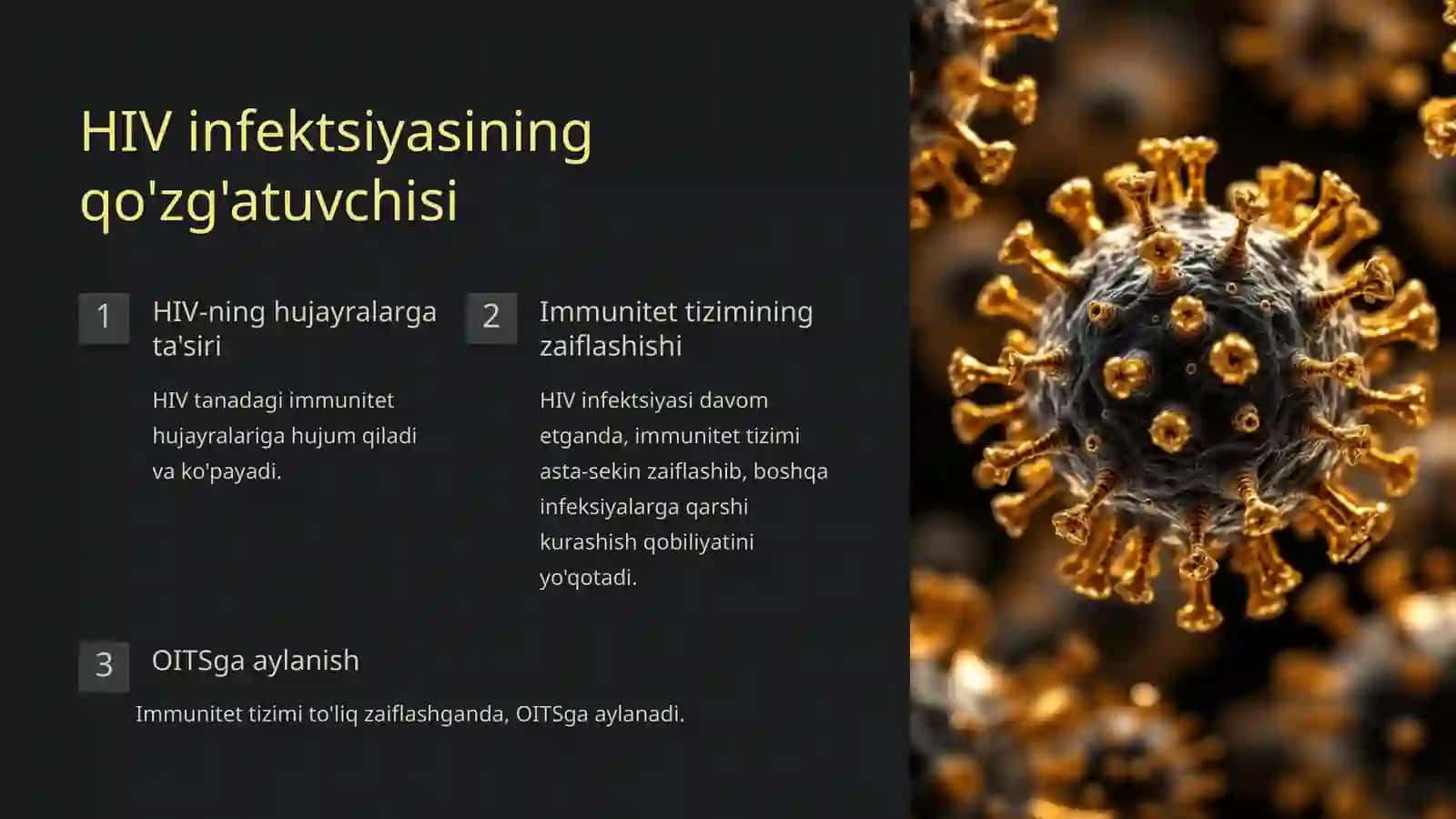 Virusli infeksiyalar OITS qo'zg'atuvchisi, labarator diagnostikasi va profilaktikasi 4