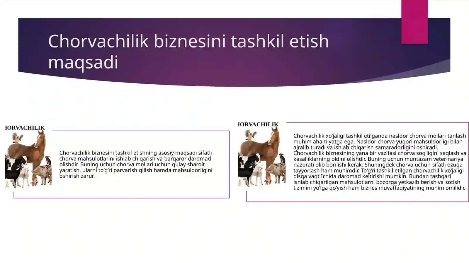 Chorvachilik xo‘jaligini tashkil etish va rivojlantirish bo‘yicha biznes reja 4