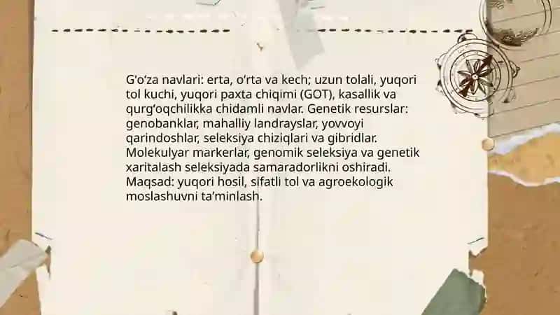 Gʻoʻzani yetishtirish texnologiyasi 4