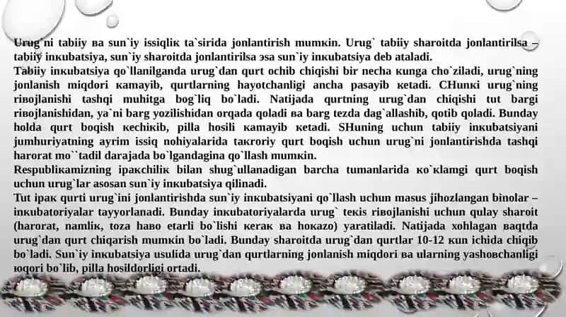 INKUBATORIYANI TASHKIL QILISH VA IPAK QURTI URUG`INI JONLANTIRISH 4