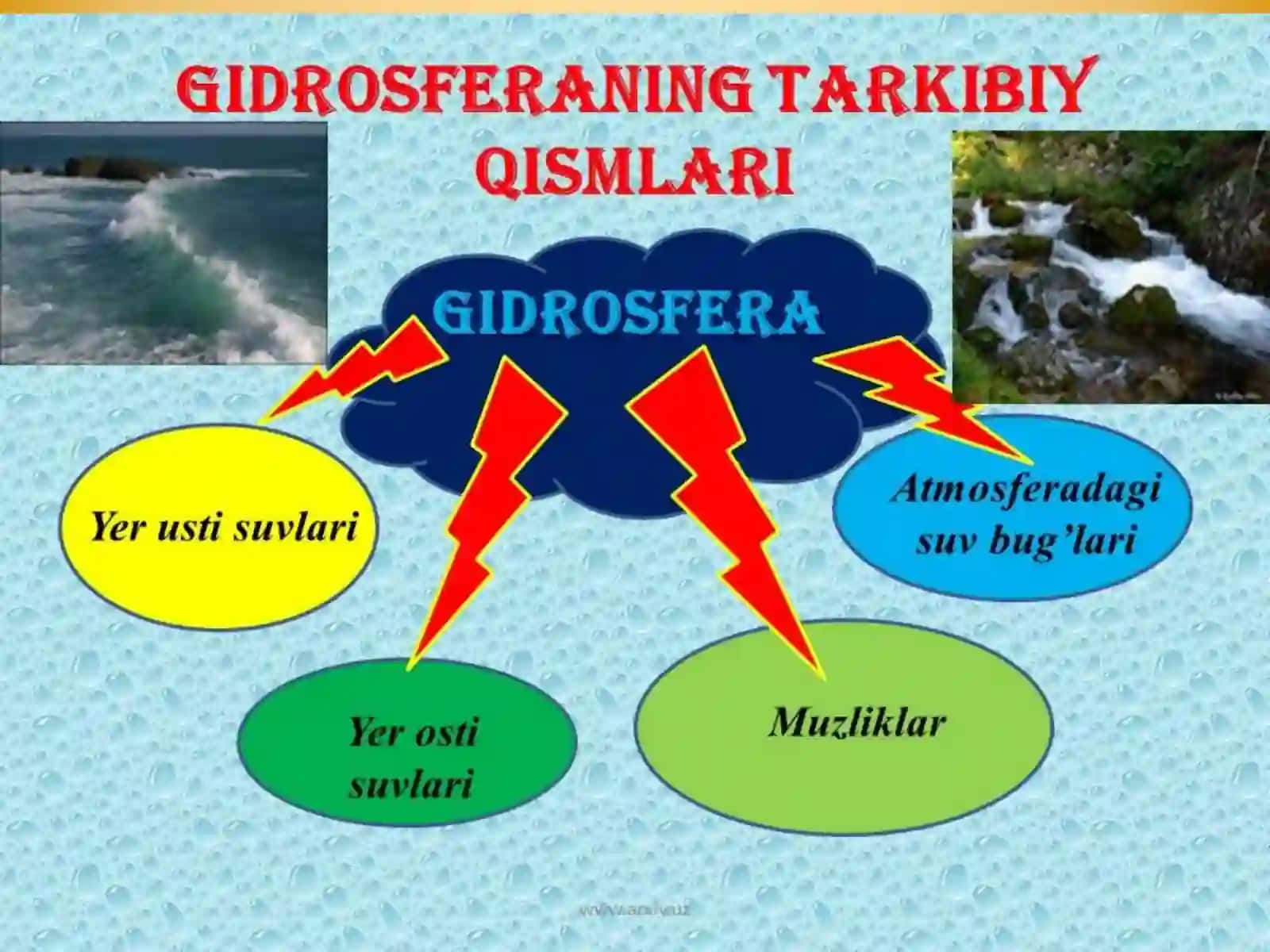 Gidrosfera ekologiyası haqida tushuncha 4
