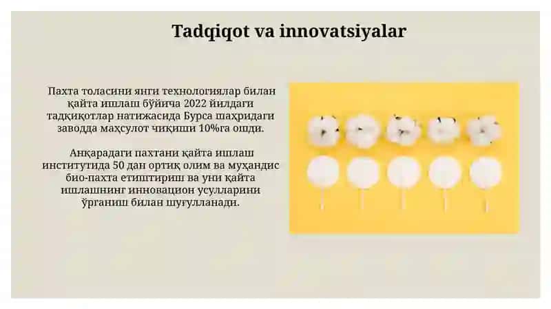 Turkiya paxta tozalash korxonalari 4