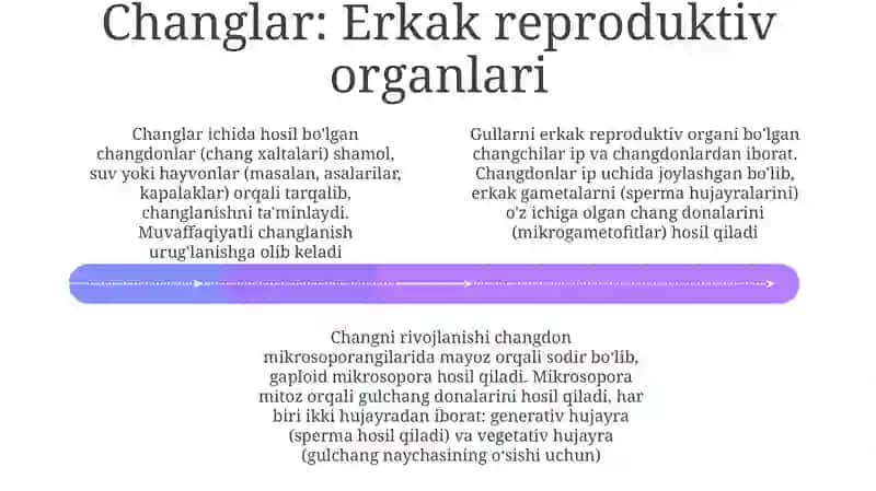Gul qismlari 4