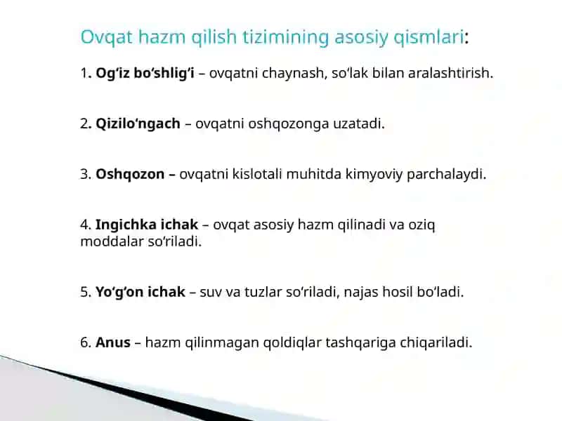 Odam va hayvonlar ingichka Va yo’g’on ichagida ovqat Hazm bo’lisini o’ziga xosligi 4