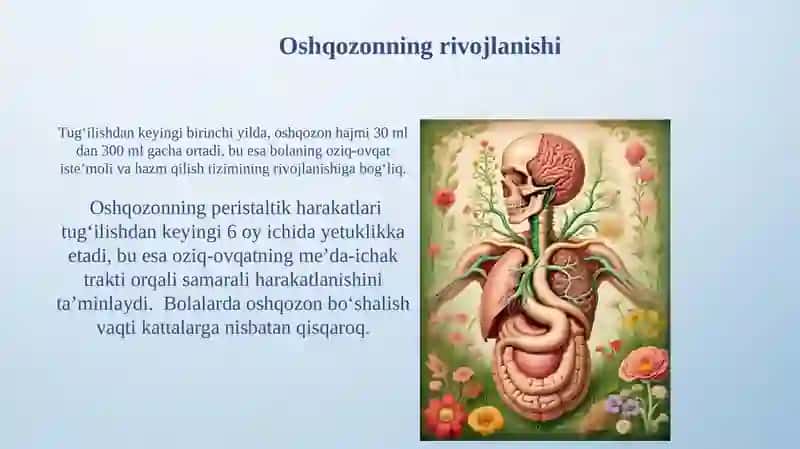 Ichaklarni anatomo-fiziologik hususiyatlari 4