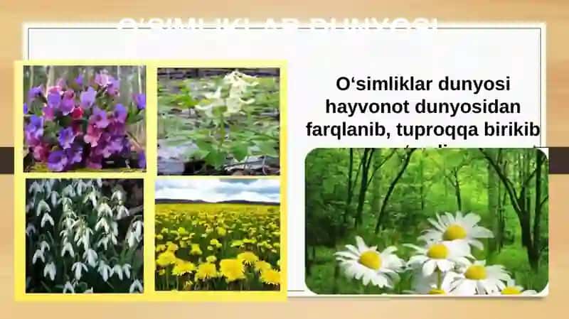 BIOLOGIYA 5-sinf MUSTAHKAMLASH 4
