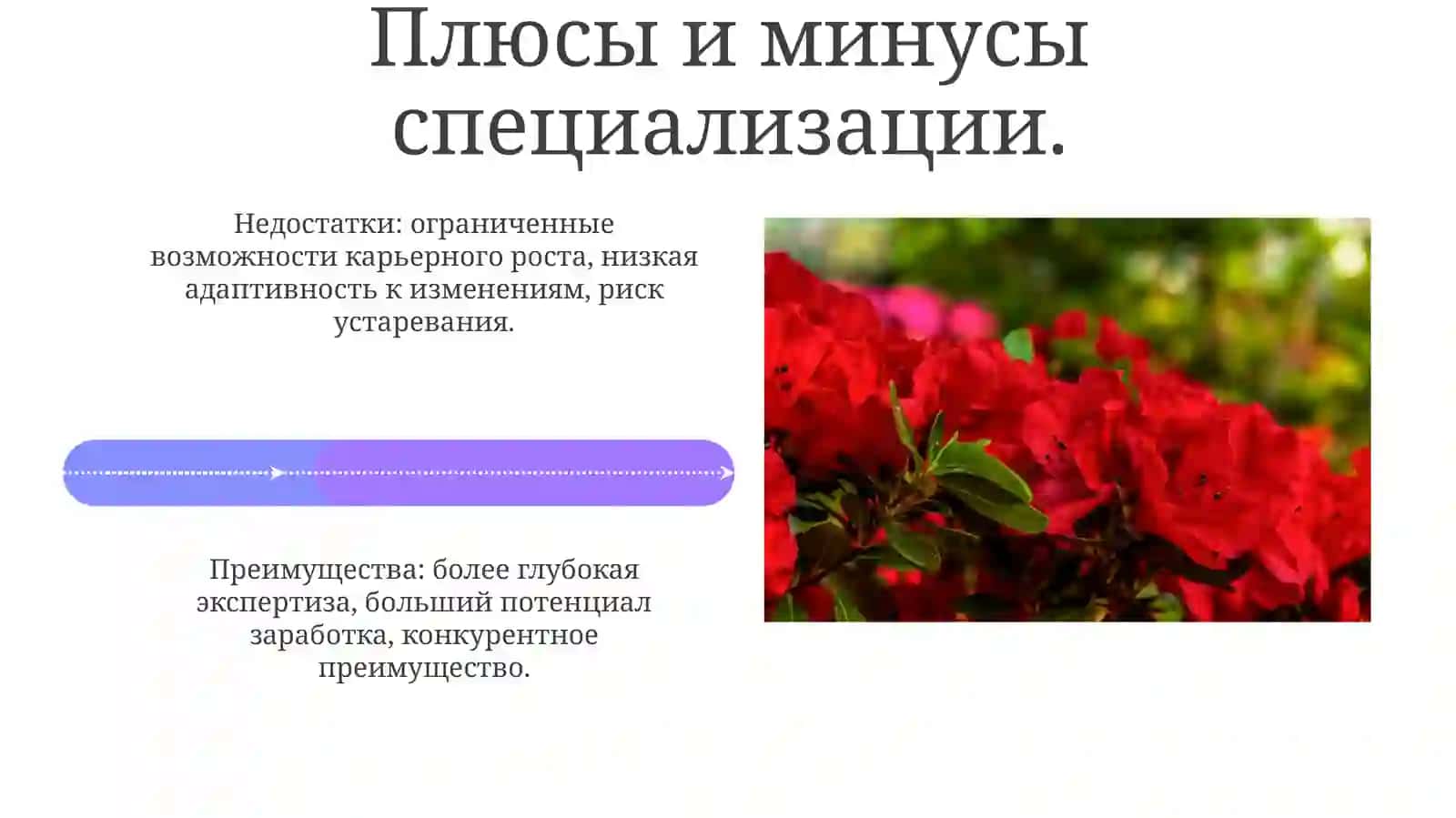 Мутахассисликка ёидбаҳс турлари 4