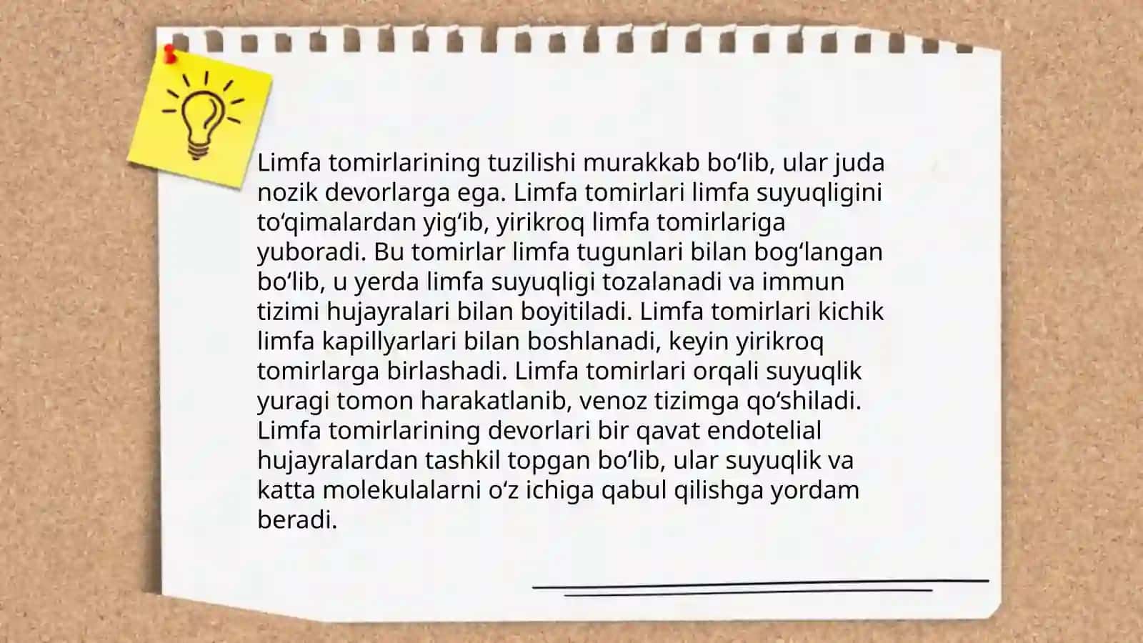Limfa sistemasi fiziologiyasi 4