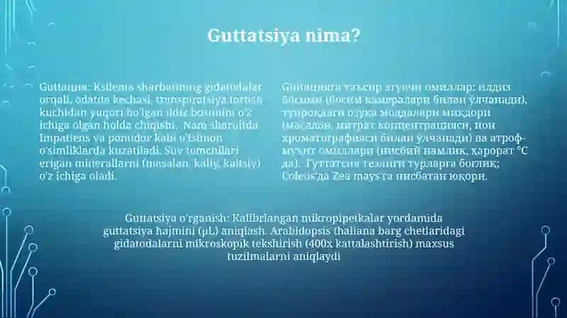O'simliklarda guttatsiya hodisalarini o'rganish 4