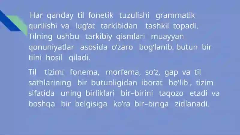 Til sathlari va sathlarga ajratish tamoyillari 4