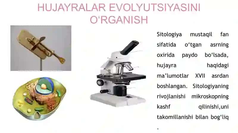 Tibbiy biologiya va Genetika amaliy mashg'ulot-1 4