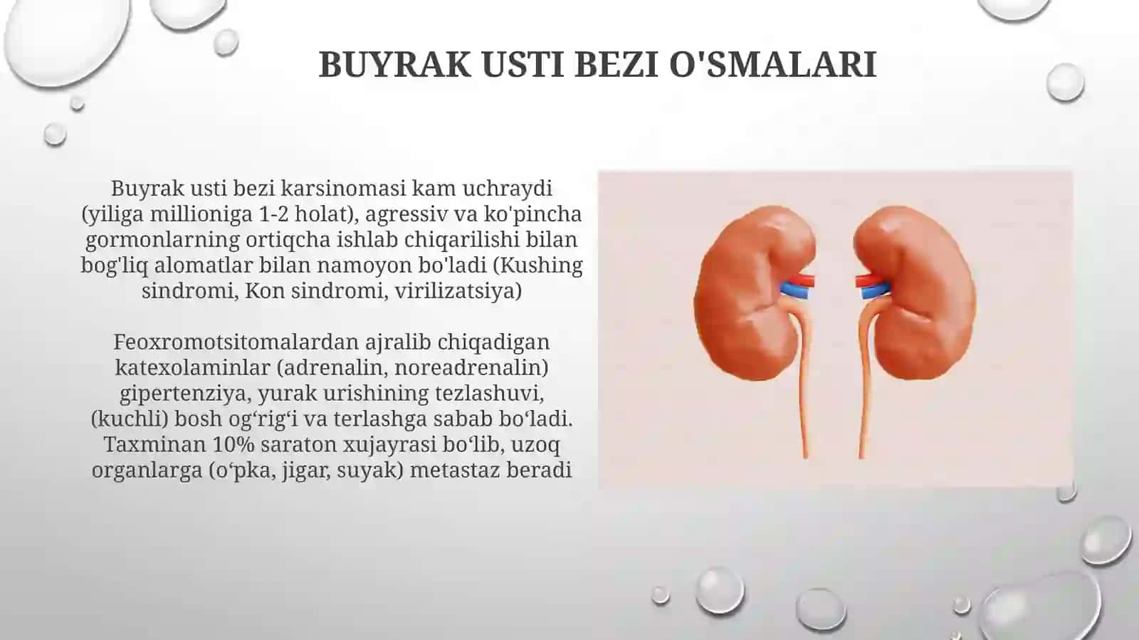 Buyrak Usti Bezi Gormonlari va Ularning Vazifalari 4