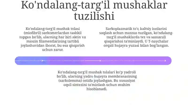 Silliq va koʻndalang targʻil mushaklar, fiziologik farqlari 4