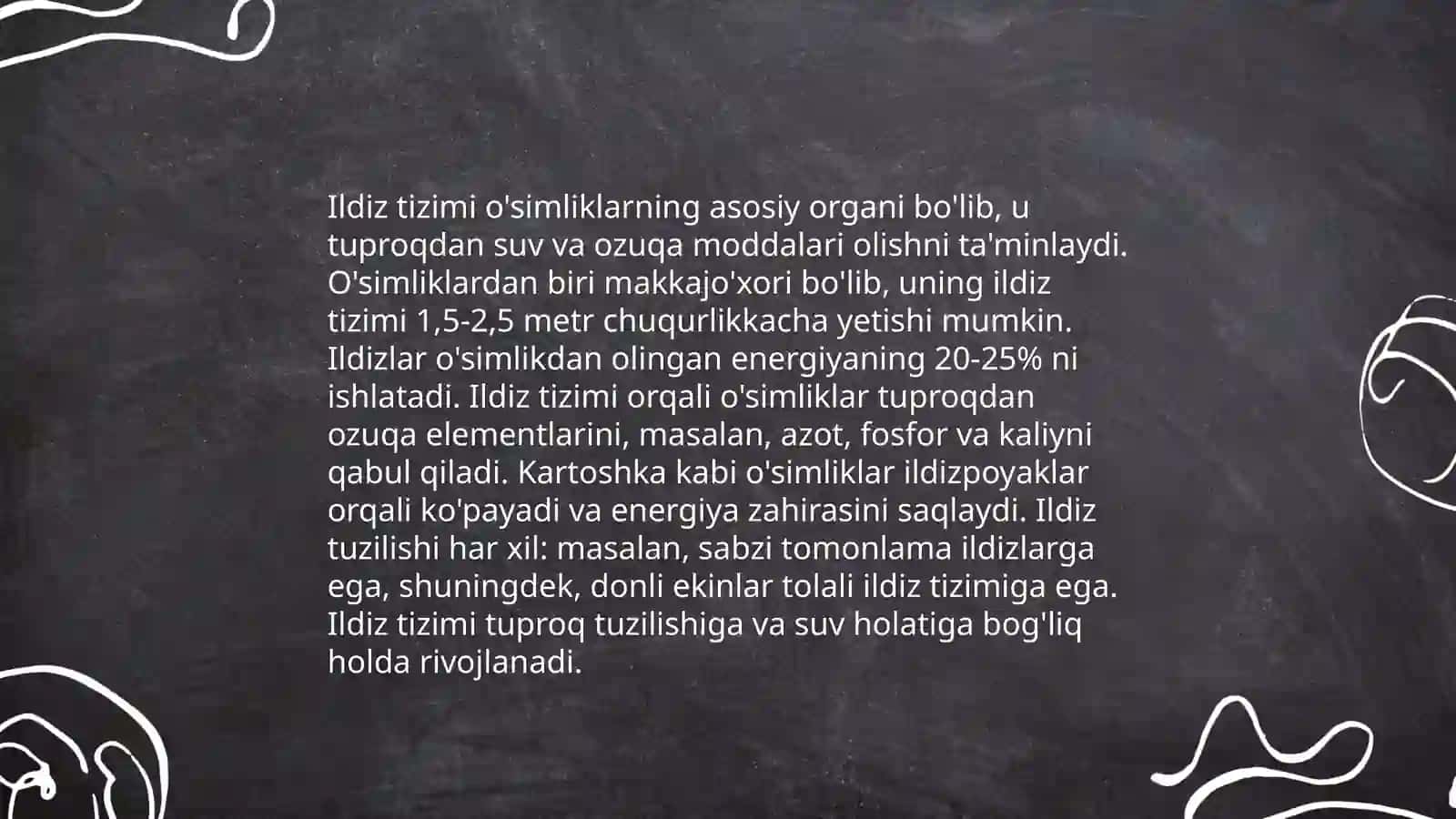 Fotosintez jarayoni 4