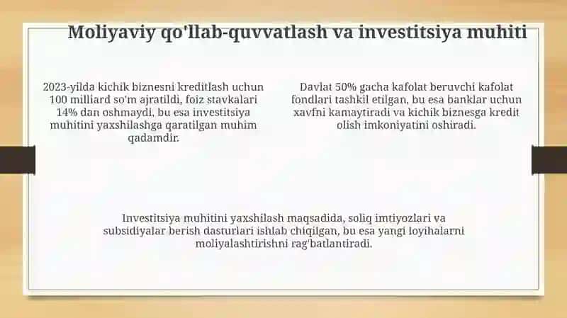 Mintaqalarda tadbirkorlik va kichik biznesning rivojlanishi 4