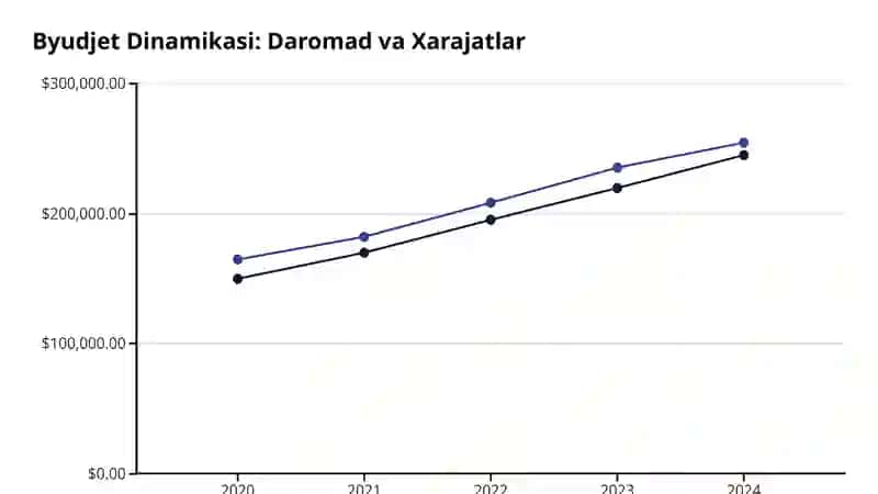 Davlat Byudjeti Defitsiti va Uni Moliyalashtirish Manbalari 4