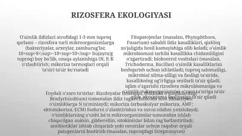 Mikroorganizmlar, oʻsimliklar munosabatlari 4
