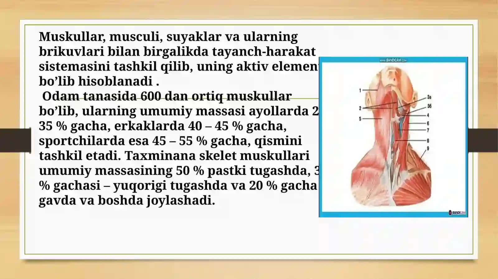 Muskullarni bajaradigan ish turlari va xilma-xilligi 4