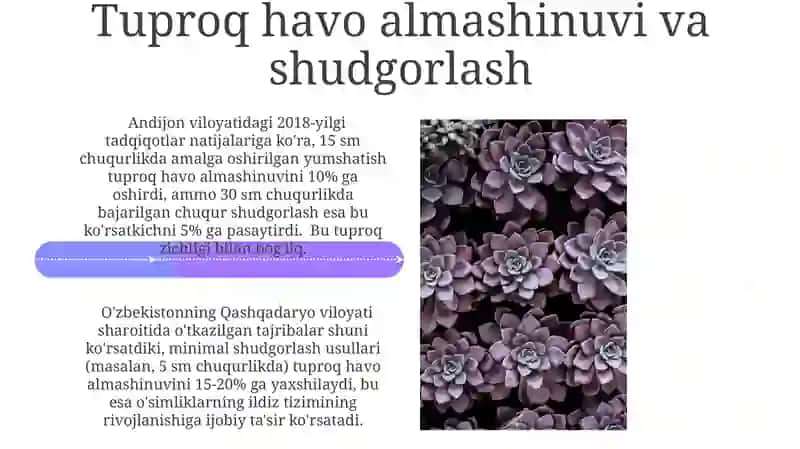 Yerga asosiy ishlov berish usullarining tuproq xususiyatlari va oʻsimliklarni rivojlanishiga taʼsiri 4