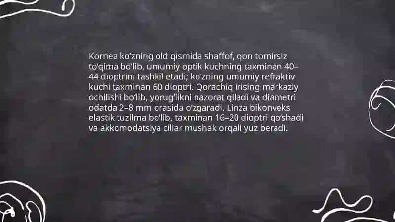 Inson sezgi organlari anatomiyasi va fiziologiyasi 4