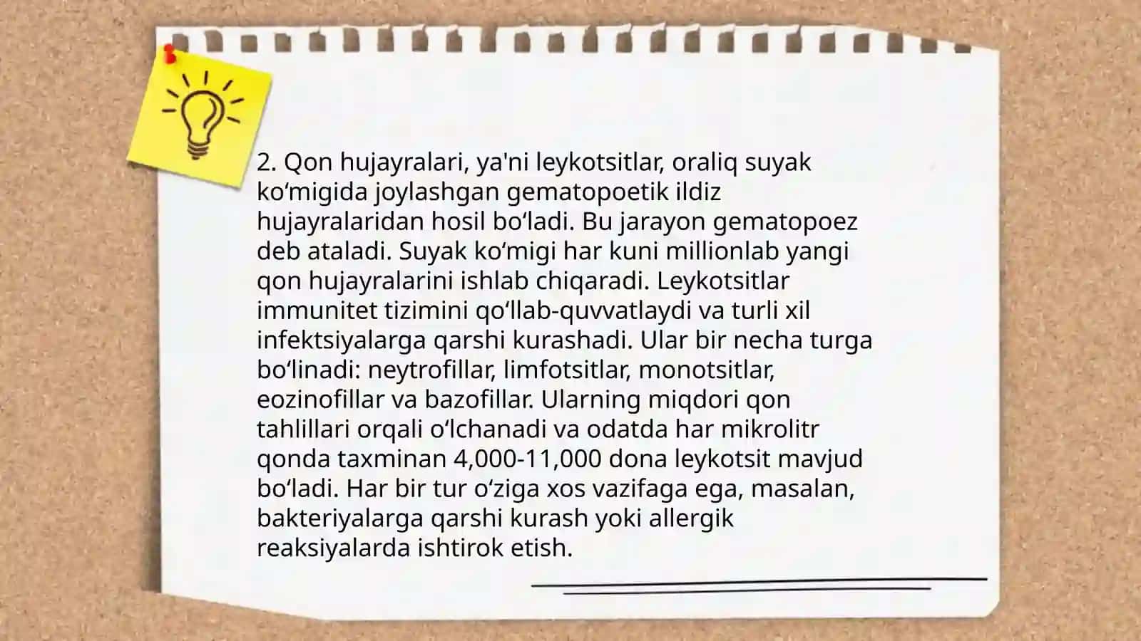 Qon yaratuvchi a'zolar 4