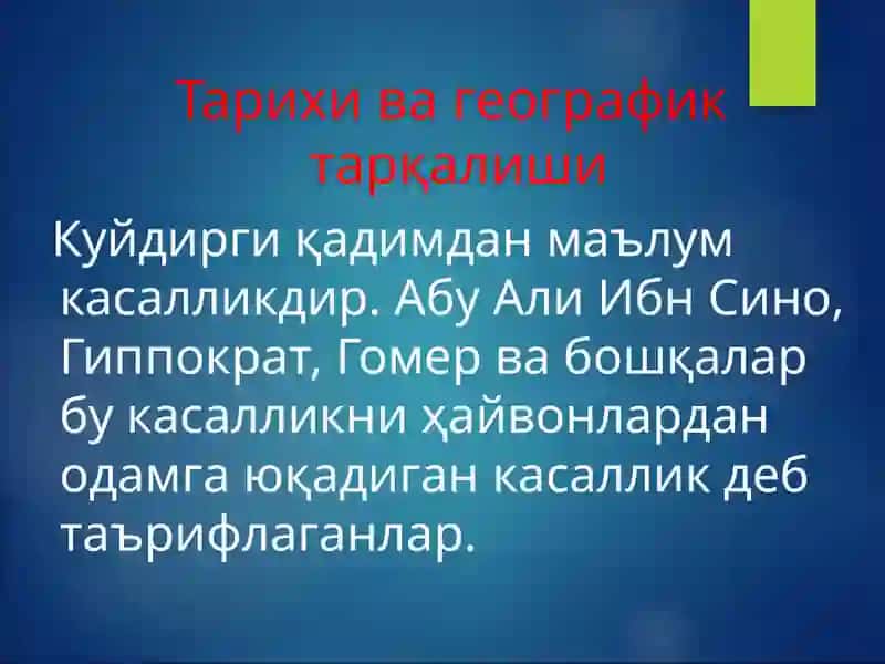 Kuydirgi 4